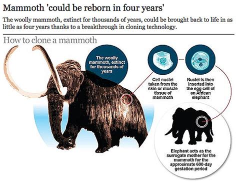 how to clone a mammoth the science of de extinction Doc